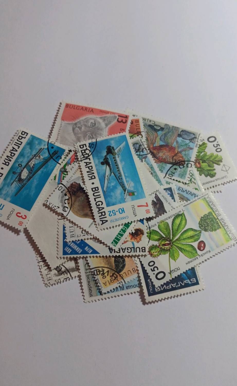 Timbre Ance Lettre Verte Anis Provenant Du Carnet Illustré Fleurs Et Douceurs - Autoadhésif Et Oblitéré - Date De Sortie 6/05/2022 | Rakuten