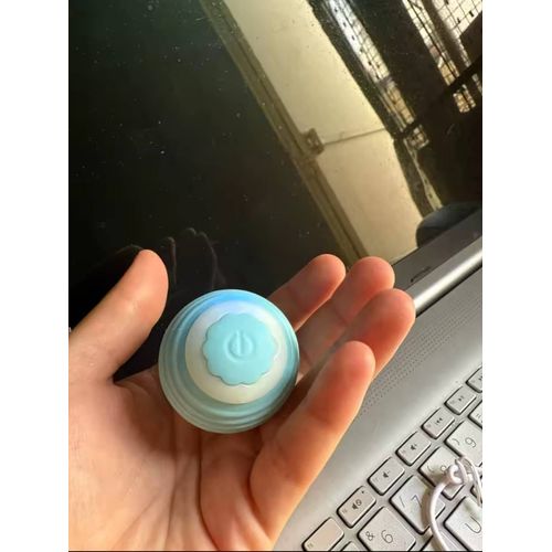 Boule Magique Pour Chat Et Chien