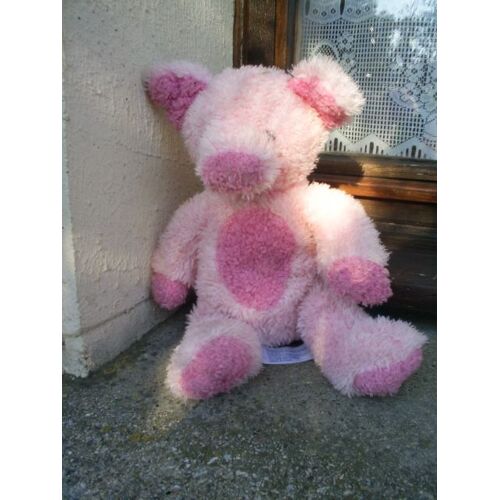 Doudou Ours Play & Learn