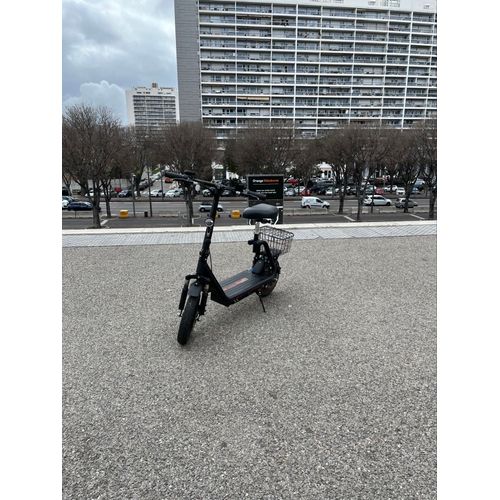 Draisienne Électrique 