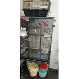 Cage Pour Oiseaux