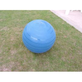 Swiss Ball Basic