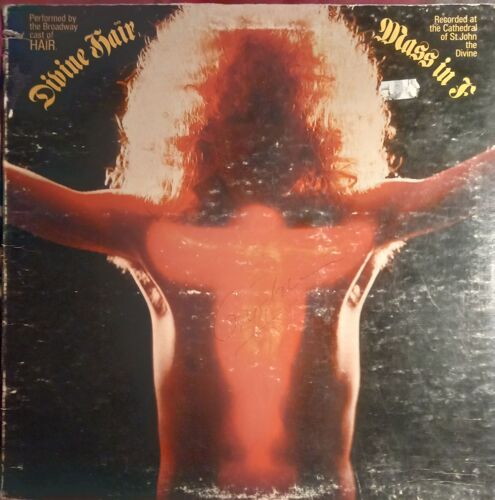 Divine Hair / Disque Vynil 33 Tours