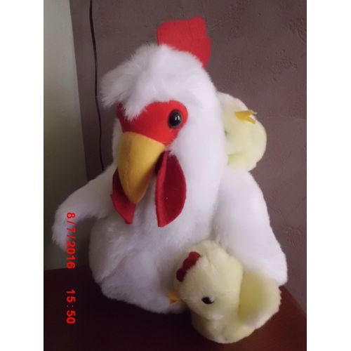 Poule Blanche Et Poussins