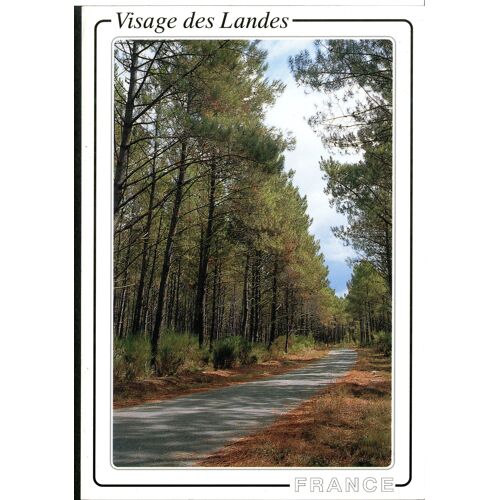 Carte Postale Visage Des Landes, Route En Forêt De Pins, 1995