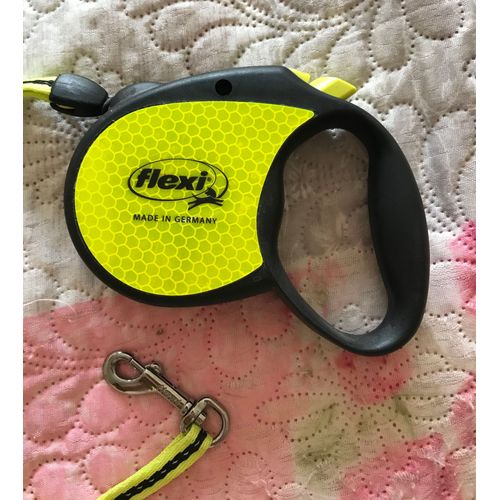 Laisse Déroulante Pour Petit Chien