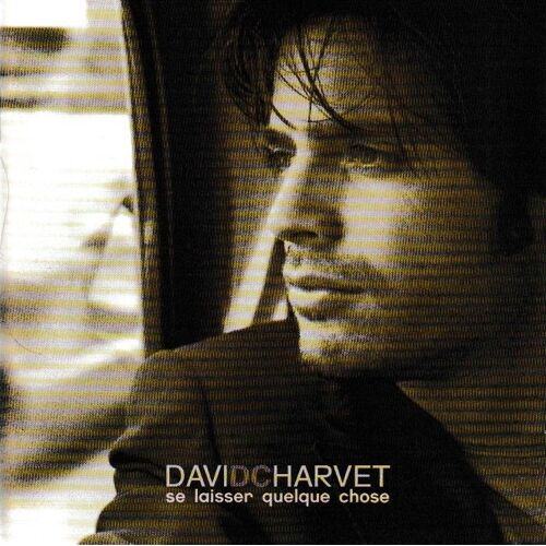 David Charvet Se Laisser Quelque Chose. 1cd+1dvd Set. (P) 2004 ®Mercury ®Universal © ®Scpp ®Dvd Video Made In E.U. 1cd+1dvd Complet Rare «1ère Version Avec Foureau» Jewel Case Europe Edition 12 Tracks