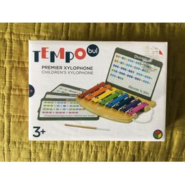 Premier xylophone, oxybul