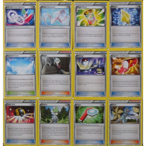 Lot De 12 Dresseurs Ciel Rugissant