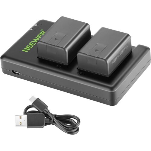 NEEWER VW-VBT190 Batterie (Lot de 2/1950mAh) avec Chargeur Double USB Compatible avec Panasonic HC-V110 V130 V160 V180 HC-V201 V210 V250 HC-V380 HC-V510 V520 V550 HC-V710 V720 V750 V770 HC-VX870
