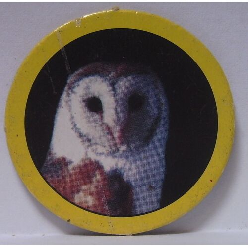 Pog Hoppies, (Ronda Ltd.) - Real Hoppy  - N°251