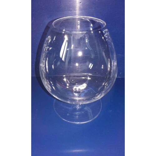 Grand Verre Dégustation Cognac