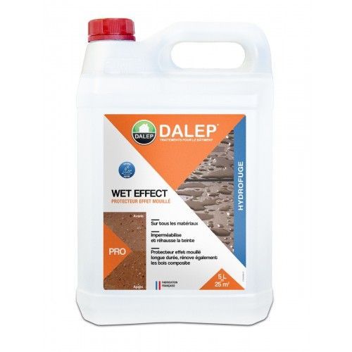 Hydrofuge protecteur aspect effet mouillé 5 L Wet Effect DALEP