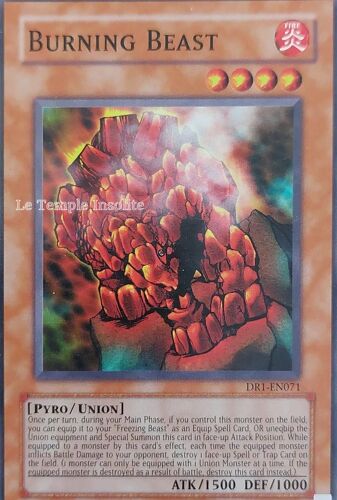 Carte Yu-Gi-Oh : Burning Beast Dr1-En071 (Version Anglaise)