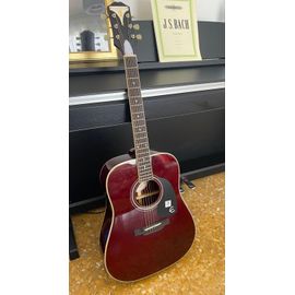 Epiphone Pro-1 Plus Wr