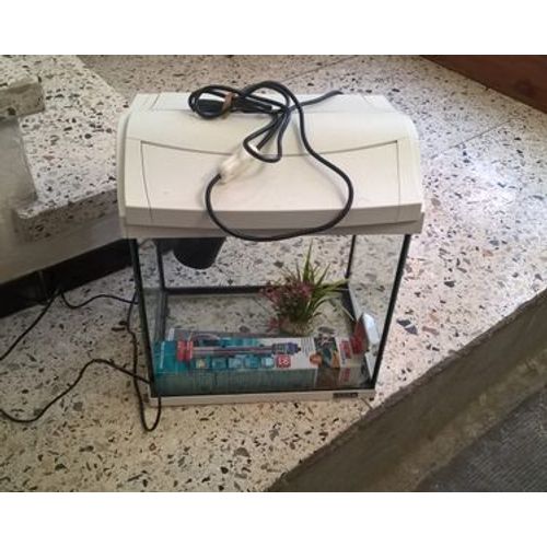 Aquarium Carre Blanc Tout Equiper