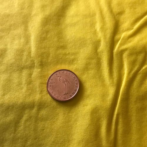 1 Euro Cent Slovénie 2007