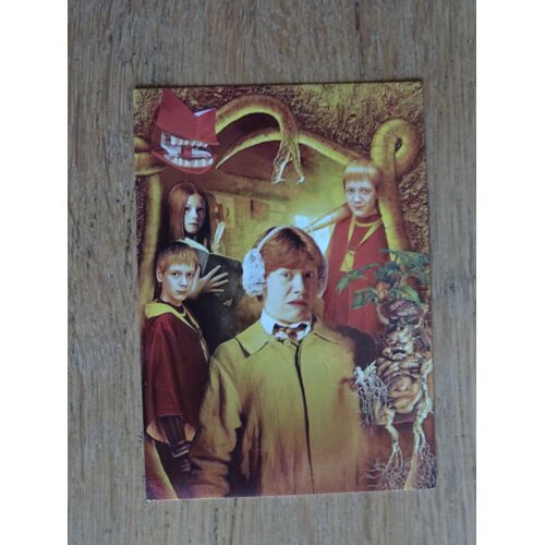 Carte Harry Potter La Magie Des Films C6/50