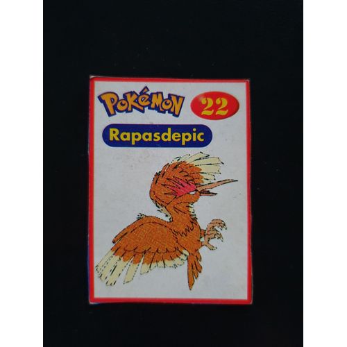 Vignette Rapasdepic 22 Pokemon Années 2000