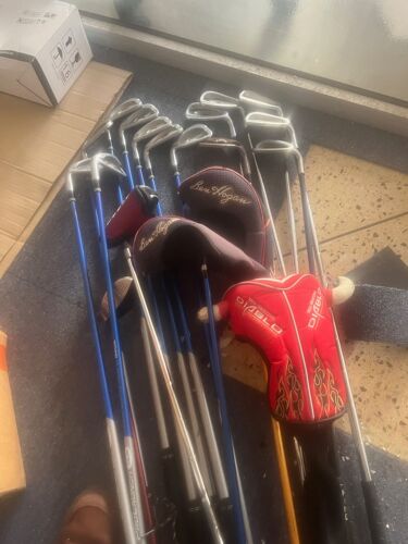 19 Clubs De Golf Et Leur Sac