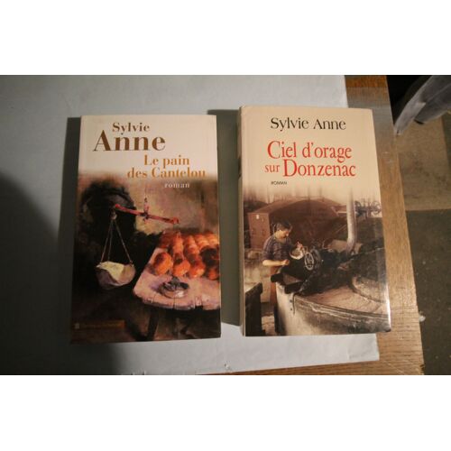 Sylvie Anne "Lot De 2 Livres"