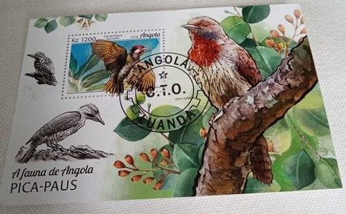 Bloc Feuillet Timbre Angola Oblitéré Oiseau