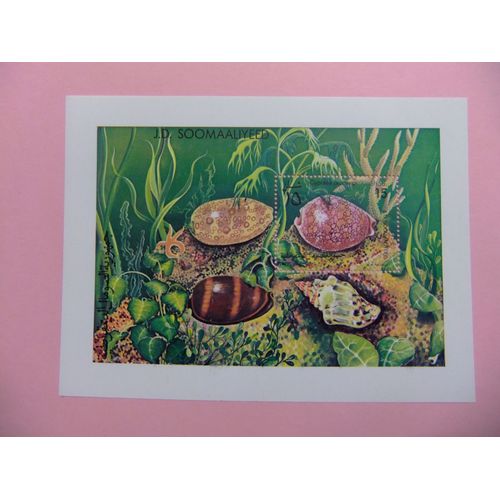 51 République De Somalie Somalia 1984 / Coquillages De Faune Marine / Yvert Bloc 13 Mnh