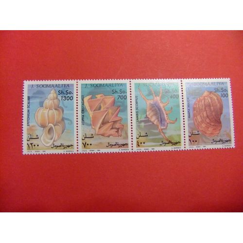 51 République De Somalie Somalia 1994 / Faune Marine (Mollusques) / Yvert 441 / 444 Mnh