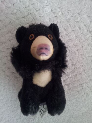 Ours À Miel = Ours Lippu = Ours Paresseux Noir National Geographic Kids Pour Mc Donald's (Sloth Bear)