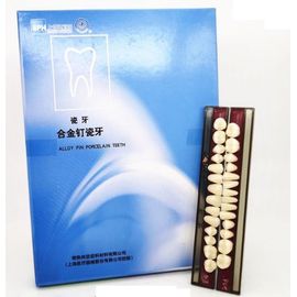Ensemble Complet De Dents En Porcelaine, 28 Pièces/Boîte, Broches En Alliage, Fausses Dents, Dentier 