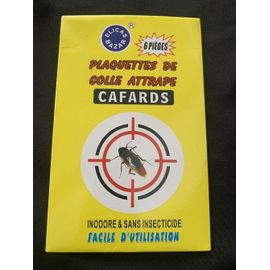 piège cafard collant ( 6 pièges / paquets )