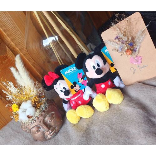 Duo peluches Mickey & Minnie – Disney Officiel