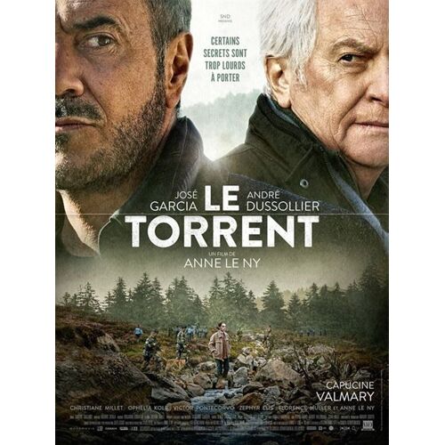 Le Torrent - Véritable Affiche De Cinéma Pliée - Format 40x60 Cm - De Anne Le Ny Avec José Garcia, André Dussollier, Capucine Valmary, Christiane Millet, Meimona Soumaré - 2022
