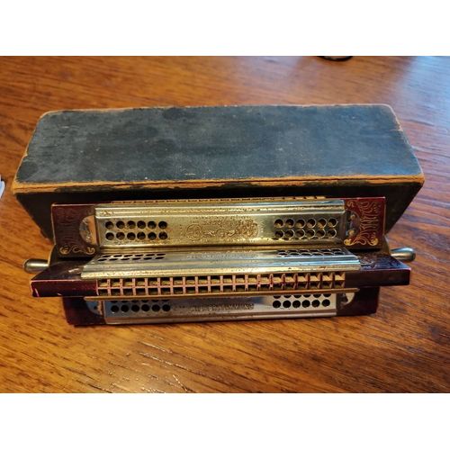 Harmonica Hohner Tremolo 4 Touches Rare