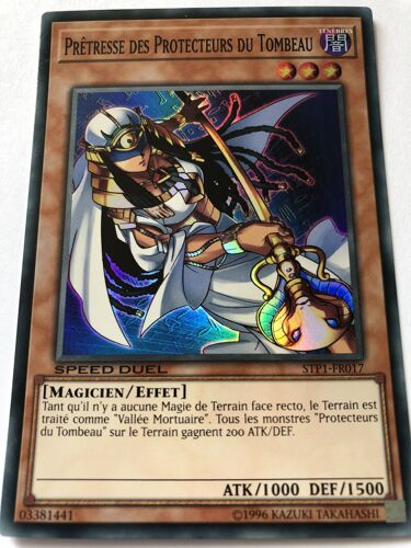 Yu Gi Oh Pretresse Des Protecteurs Du Tombeau Stp1 Fr017 Super Rare