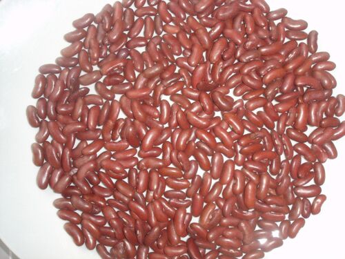 25 Graines Haricot Rouge À Semer