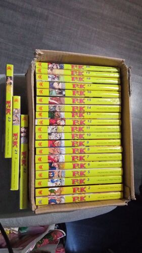 P.K (Player Killer) Intégrale Sauf Tome 4 : Tome 1 À 23 (Manga De Chul-Ho Park Et Jong-Kyu Lee) -