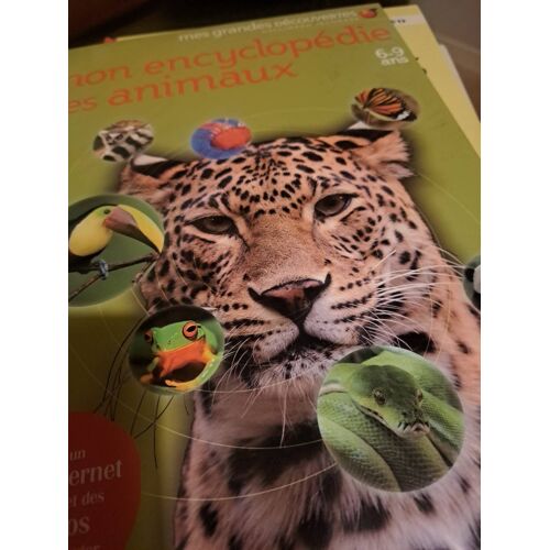 Mon Encyclopédie Des Animaux Chez Gallimard Jeunesses