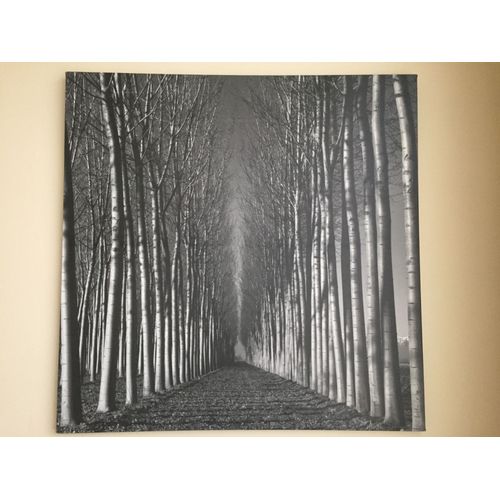 Cadre arbres noir et blanc cadre photo imprimée sur toile photo encadrée