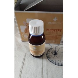 Recovery Rénal Pour Chat