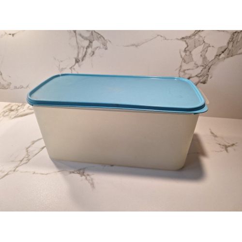 Grande Boite Tupperware Rectangulaire 9 L