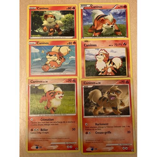 (3420) 6x Caninos (Pokemon)