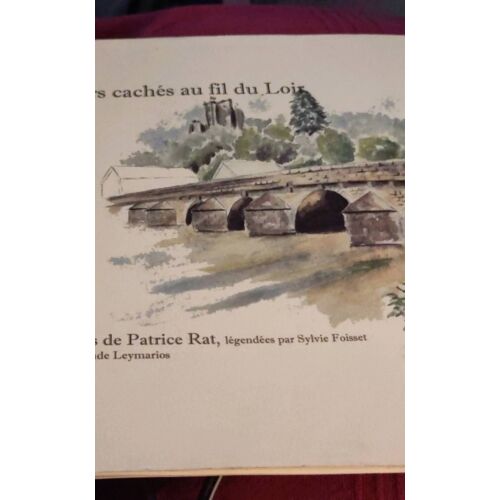 Trésors Cachés Au Fil Du Loir - Aquarelles De Patrice Rat Légendée Par Sylvie Foisset Préface De Claude Leymarios - 90 Pages - Isbn 9782746615229 - 2009 - Format A4 À L'Italienne Spiralé