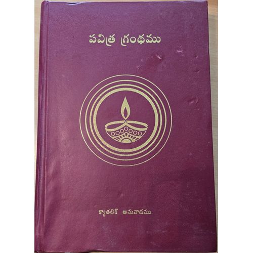 La Bible En Telougou (Telugu) Couverture Cuir