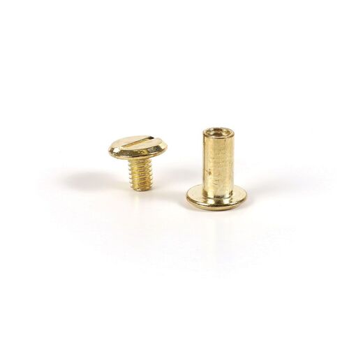 Vis Chicago Attaches Pour Cuir Et Fimo Cuir 20 Pièces