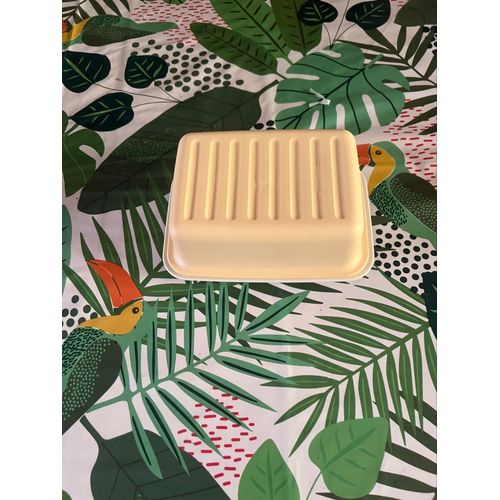 Beurrier Plaques 250g Tupperware Vintage 