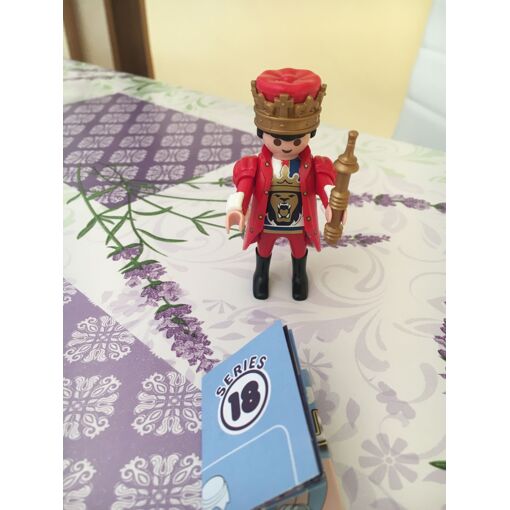 Lot Playmobil Enfants Du Roi Château Médiéval - Complet Et En Excellent état