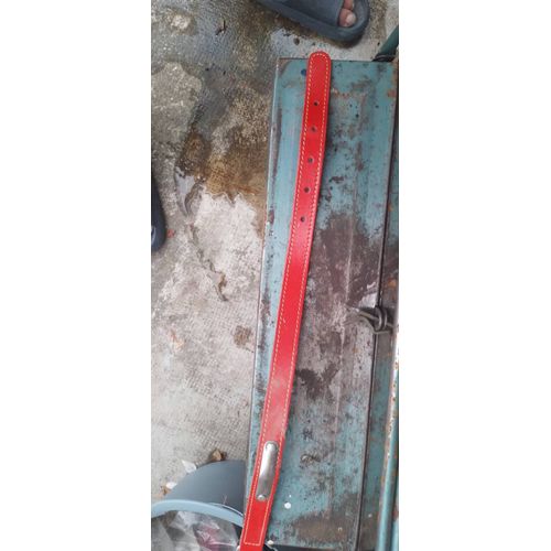 Collier Rouge Avec Plaque Pour Nom