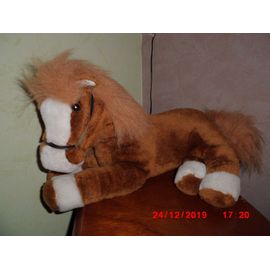 Poney Marron Et Blanc Cp