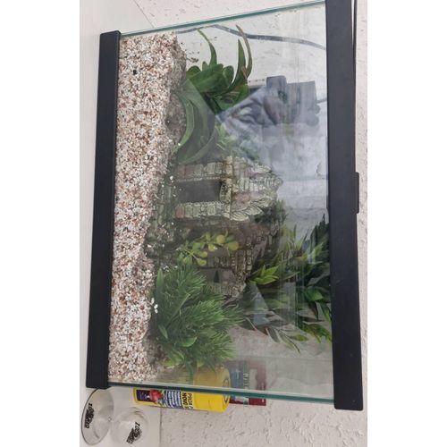 Aquarium Poisson Avec Décoration